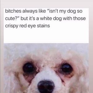 Meet your Posher, Thomas